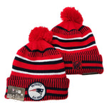 NEW ENGLAND PATRIOTS New Era 2019 Cold Weather Knit Hat