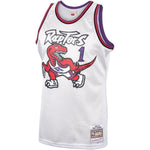 Tracy McGrady Toronto Raptors Mitchell & Ness Hardwood Classics Swingman Jersey