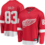 Men's Detroit Red Wings Trevor Daley Fanatics Branded Red Breakaway Player Jersey