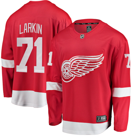 Men's Detroit Red Wings Dylan Larkin Fanatics Branded Red Breakaway Player Jersey