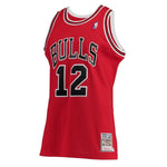 Men's Chicago Bulls Michael Jordan Mitchell & Ness Red Hardwood Classics #12 Jersey